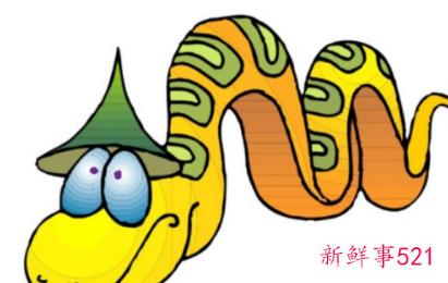 属猪和属蛇能做夫妻吗