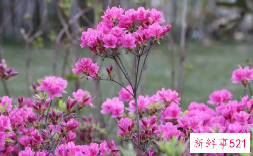 感情中的你会让人刻骨铭心吗