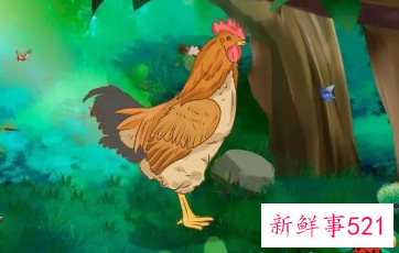 女人梦见一群鸡还有鸡蛋