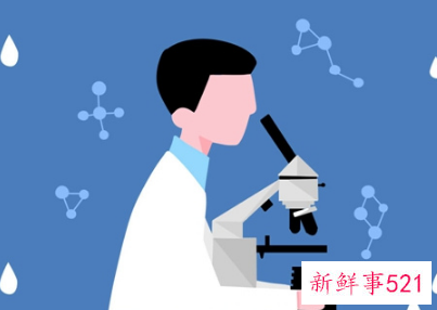 内向学什么技术好