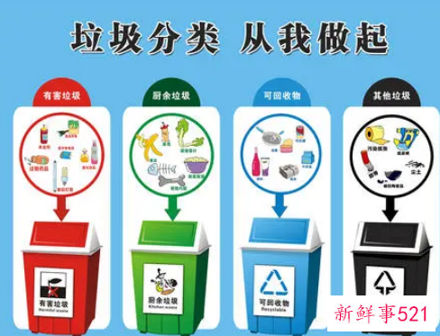 绿植叶子属于什么垃圾分类