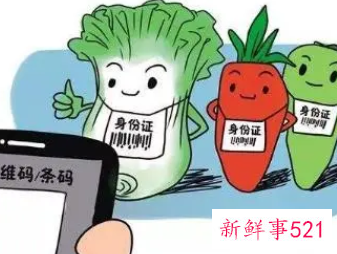 产品安全评估资料