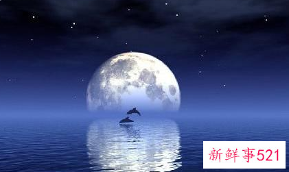 为什么优秀的人都有个性