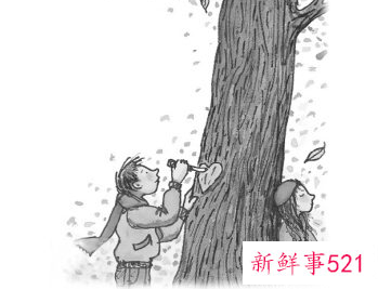 如何面对一段没有结果的感情