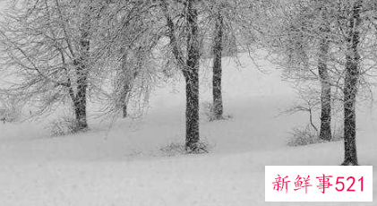 为什么下雪不冷化雪冷