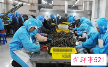 如何做好生产计划管理工作