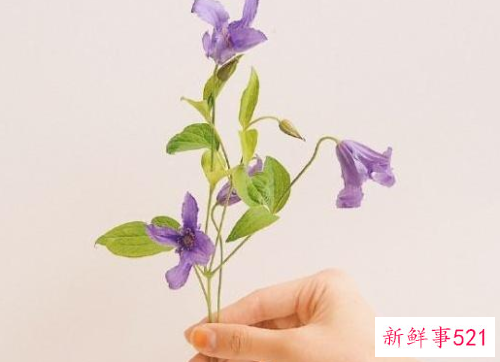 情侣暖心情话的句子