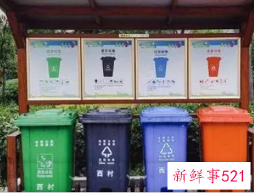 绿植枯叶属于什么垃圾