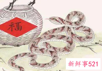 2001年属蛇人的幸运数字