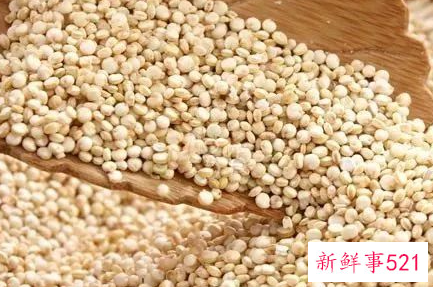 吃什么主食不容易发胖