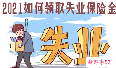 失业补助金政策