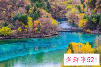 适合情侣去的旅游胜地