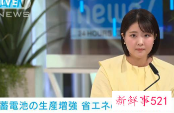 日本计划2030年占全球20%电池产业市场份额