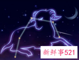 知识渊博的星座女