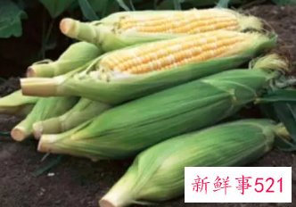 孕妇梦见偷玉米是什么意思