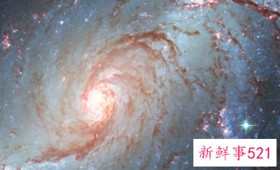 狮子座为什么叫狮子座