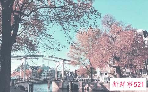 秋季吃什么可以补水