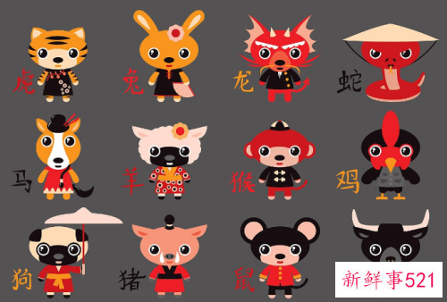 女子属相的最佳配偶