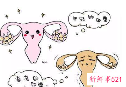 怎样保护卵巢不衰老