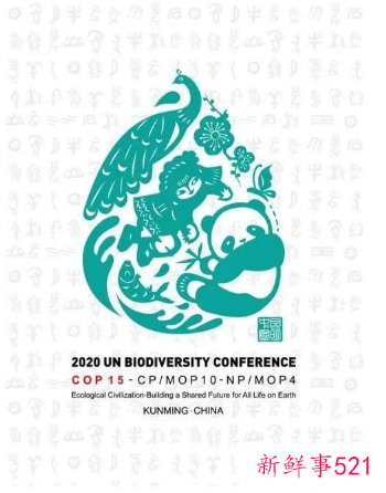 联合国生物多样性峰会举办时间