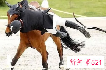 梦见骑马摔下来什么意思