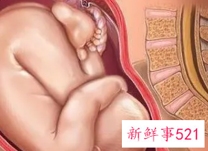 38周的胎儿发育情况