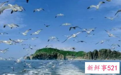 穷游看海去哪里比较好