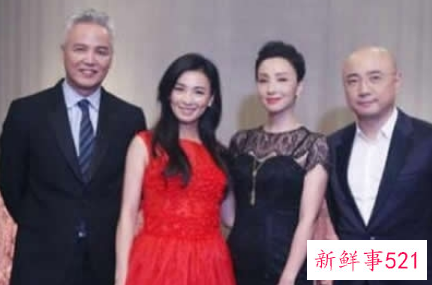 张庭与陶虹是什么关系