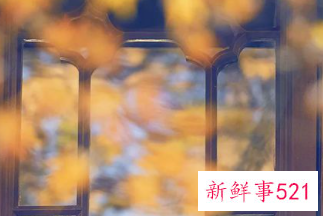 处暑诗词有哪些