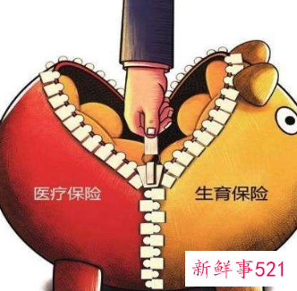 辞职以后生育保险怎么办