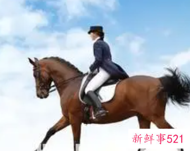 梦见赛马有什么征兆呢