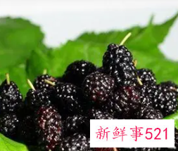 孕妇吃桑葚的好处