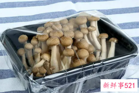 蟹腿菇的营养价值