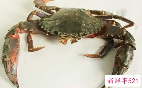 梦见很多螃蟹爬到家里