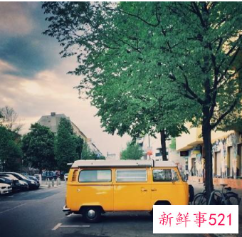 唯一会宠白羊座的星座