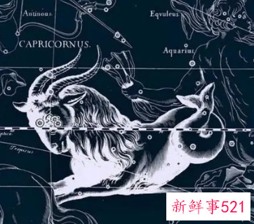 摩羯第六感有多恐怖