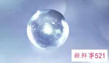 肥胖纹产品哪款有效