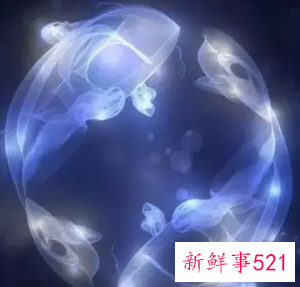 双鱼男容易爱上天蝎女吗