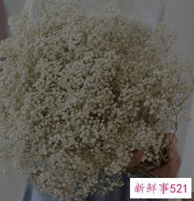 送女性朋友新年礼物排行榜