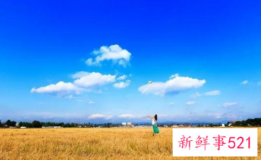 惊人的9个定律原来这就是人性