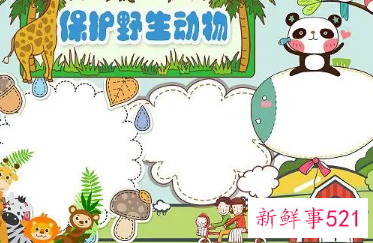 保护野生动物的英语作文100字