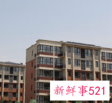 东户西户适合的属相