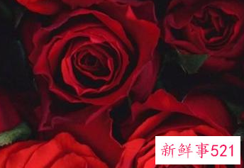 情人节如何送给情人礼物