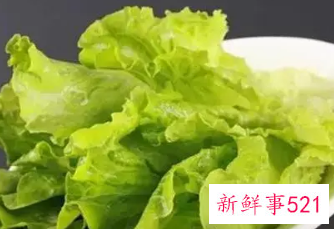 每天吃生菜有什么危害