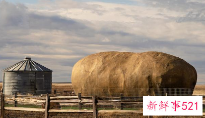 世界上最大的水果是啥