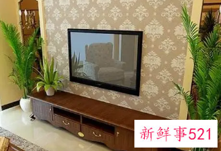 客厅放什么东西比较好看