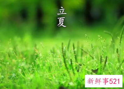 立夏节气的气候特点