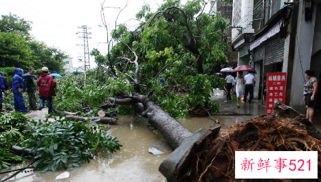 飓风龙卷风台风区别
