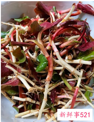 第一次吃折耳根凉拌怎么发说说