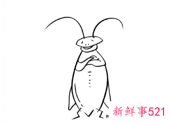 简笔画简单步骤